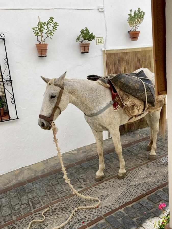 Casa Rural Villa Sila Benalauría Kültér fotó